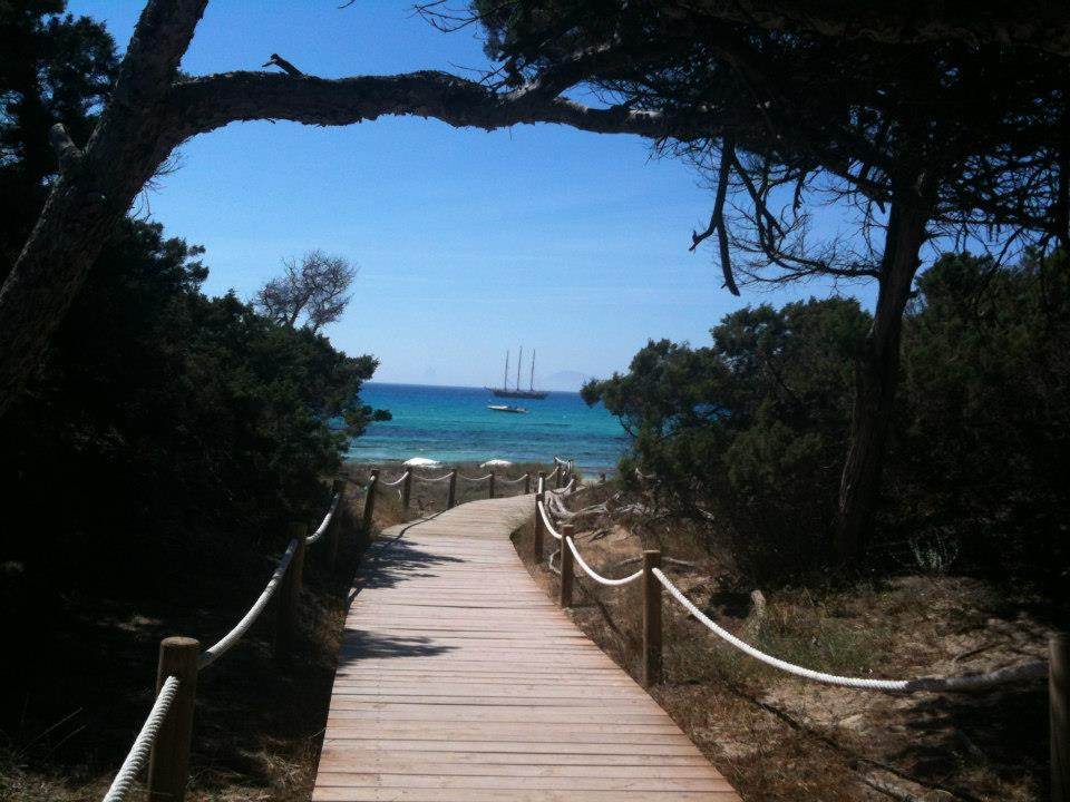 Proyecto para la `preservación del medio ambiente del litoral en Formentera, desarrollado entre los años 1996 y 2000 Proyecto para la `preservación del medio ambiente del litoral en Formentera, desarrollado entre los años 1996 y 2000